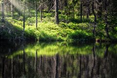 Etang de la Gruère