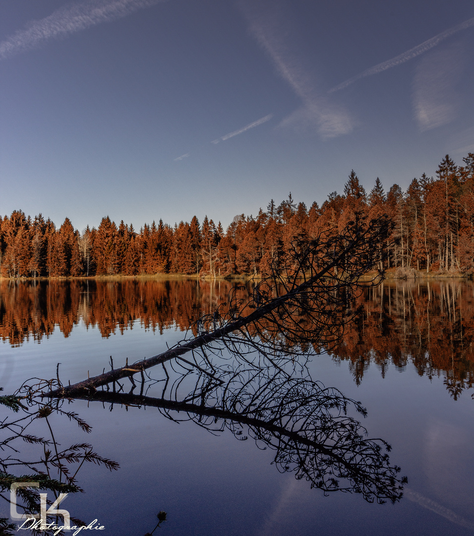 Etang de la Gruère