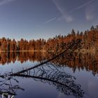 Etang de la Gruère