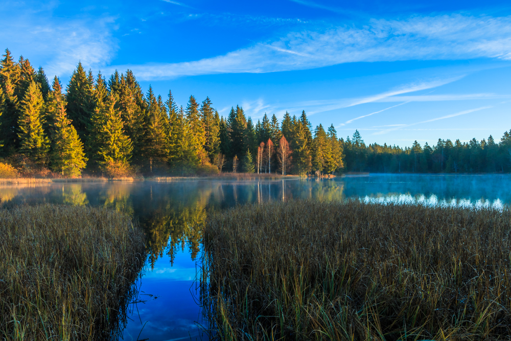 etang de la gruere