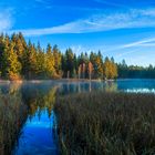 etang de la gruere