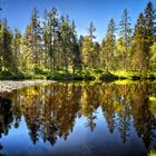 Etang de la Gruère