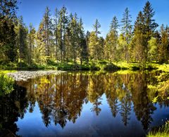 Etang de la Gruère