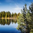 Etang de la gruere