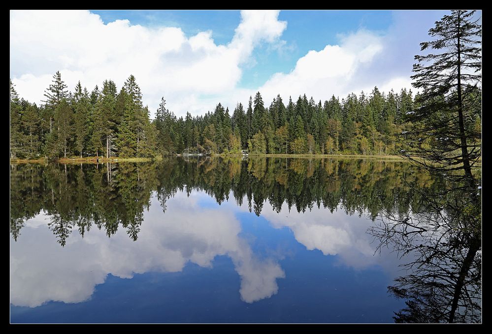 Etang de la gruère