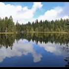 Etang de la gruère