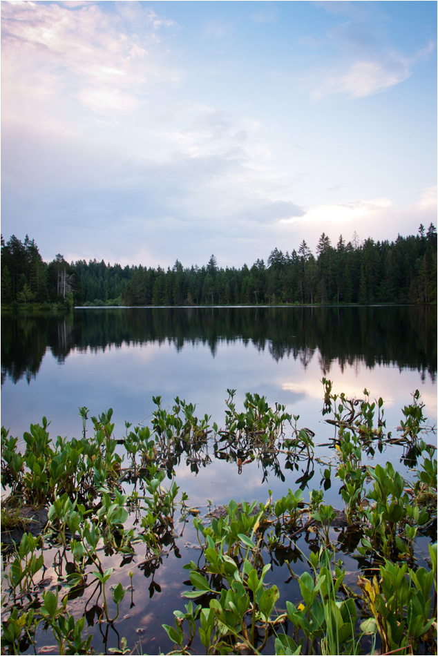 Etang de la Gruère am frühen Morgen