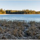 Etang de la Gruère