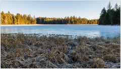 Etang de la Gruère