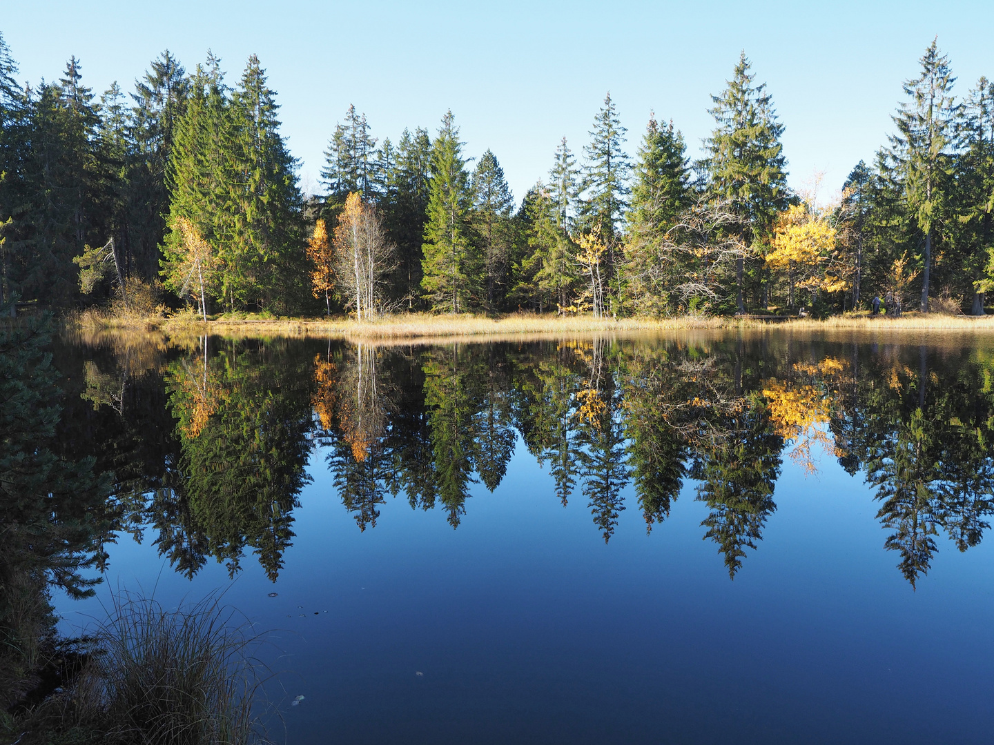 Etang de la Gruère