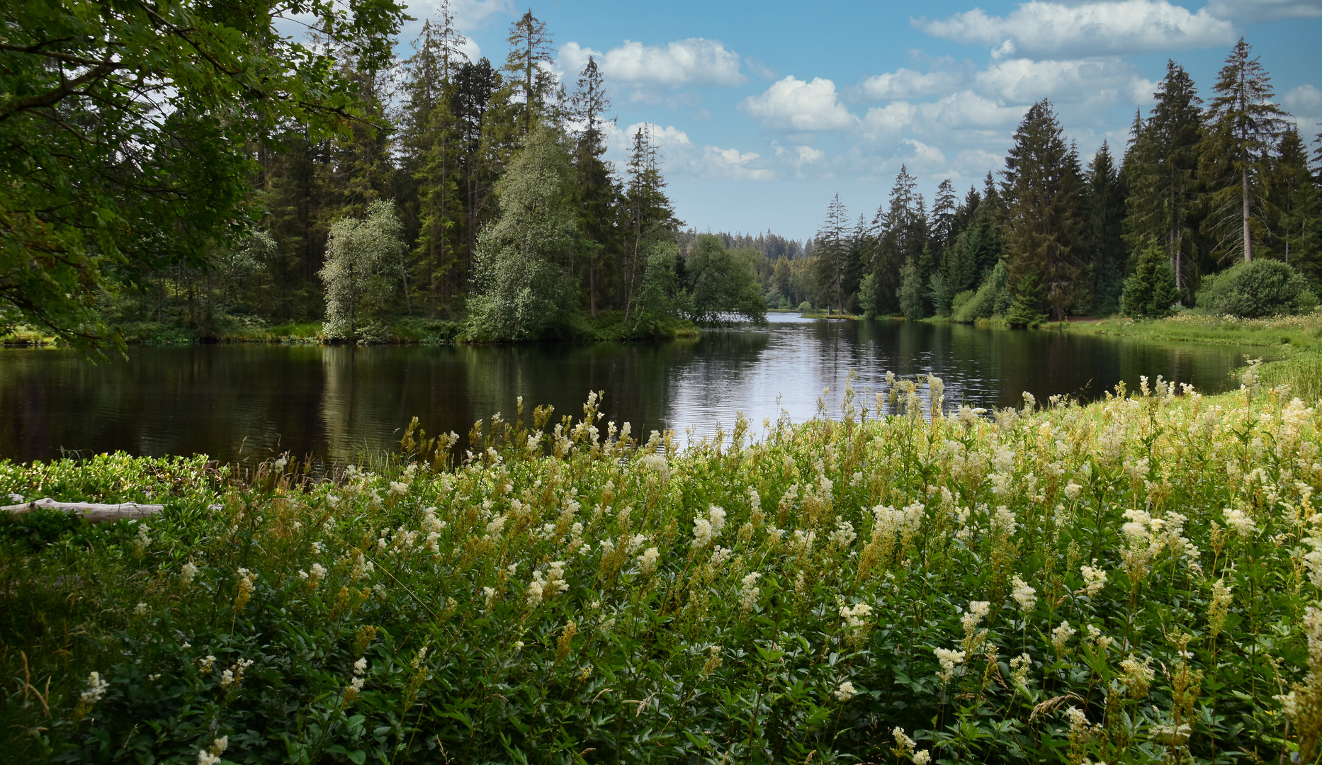 Etang de la Gruère