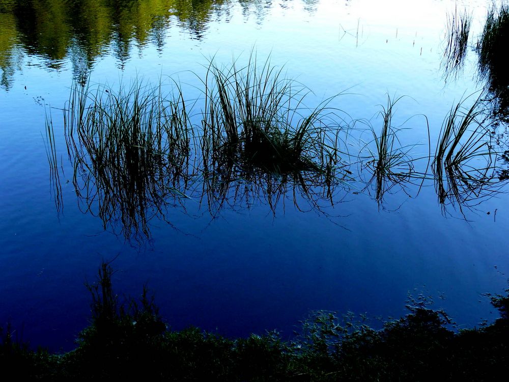 Etang de la Gruère