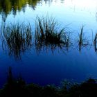 Etang de la Gruère