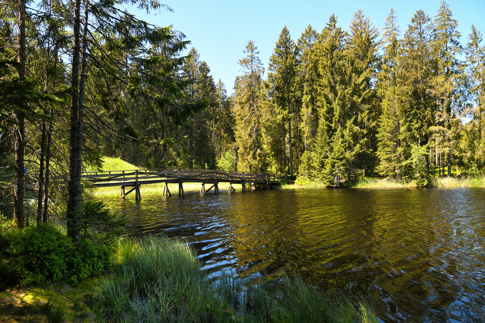 Etang de la Gruère Brücke