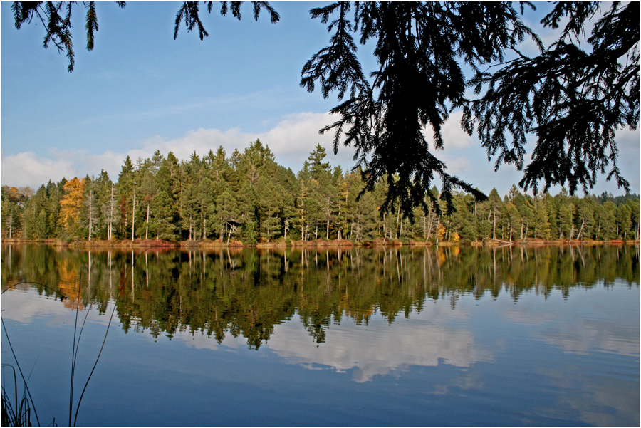 Etang de la Gruère