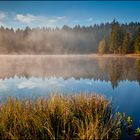 Etang de la Gruère