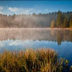 Etang de la Gruère