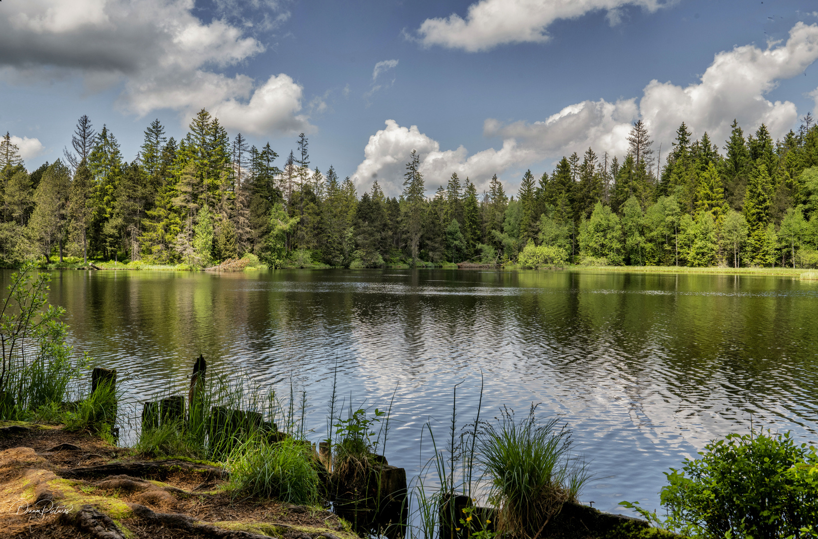 Etang de la Gruère