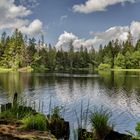 Etang de la Gruère