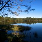 Etang de la Gruère Couleurs d'automne