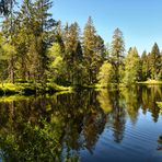 Etang de la Gruère