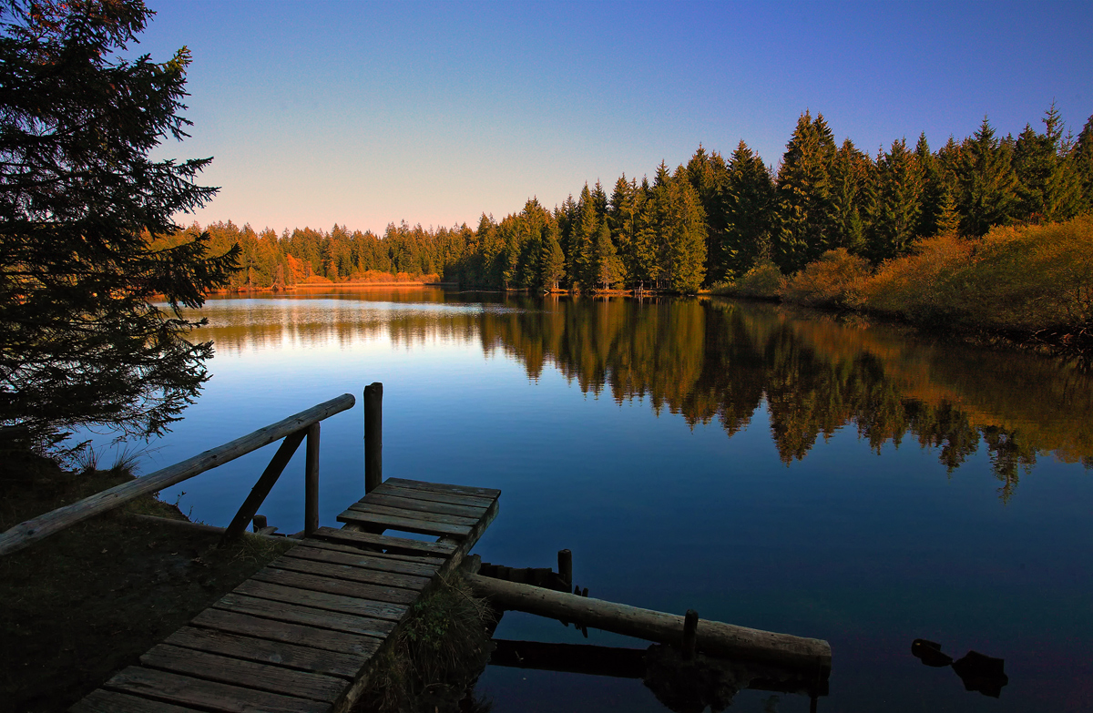 Etang de la gruère