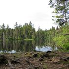 Etang de la Gruère