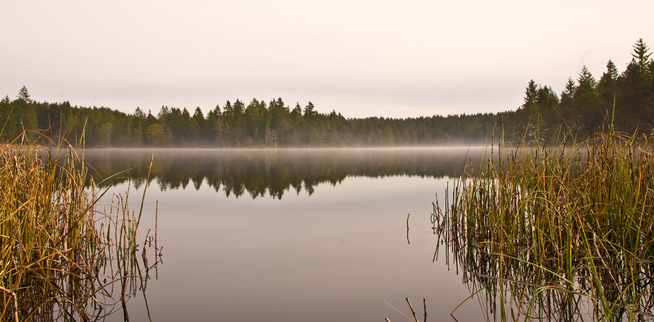 Etang de la Gruère