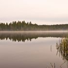 Etang de la Gruère