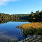 Etang de la Gruère