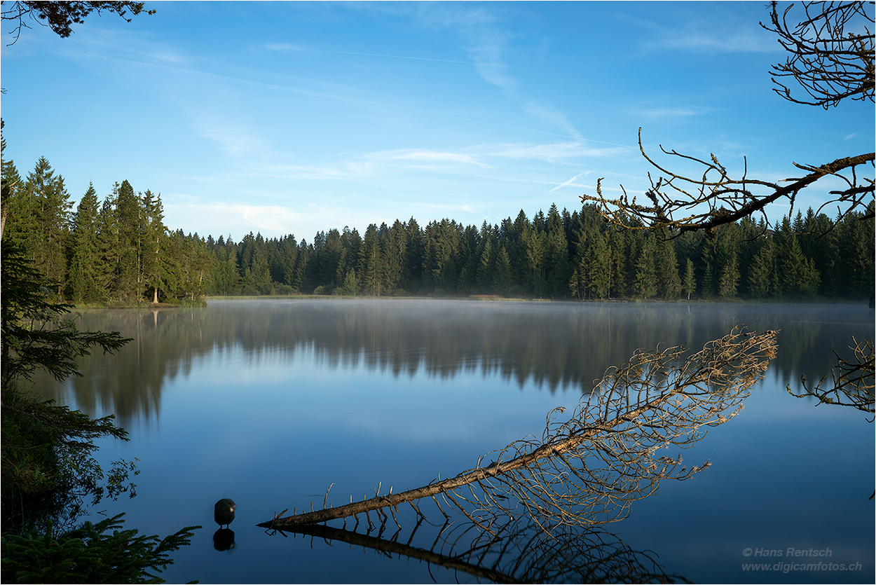 Etang de la Gruère