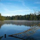 Etang de la Gruère