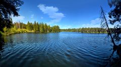 Etang de la Gruère