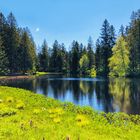 Etang de la Gruère