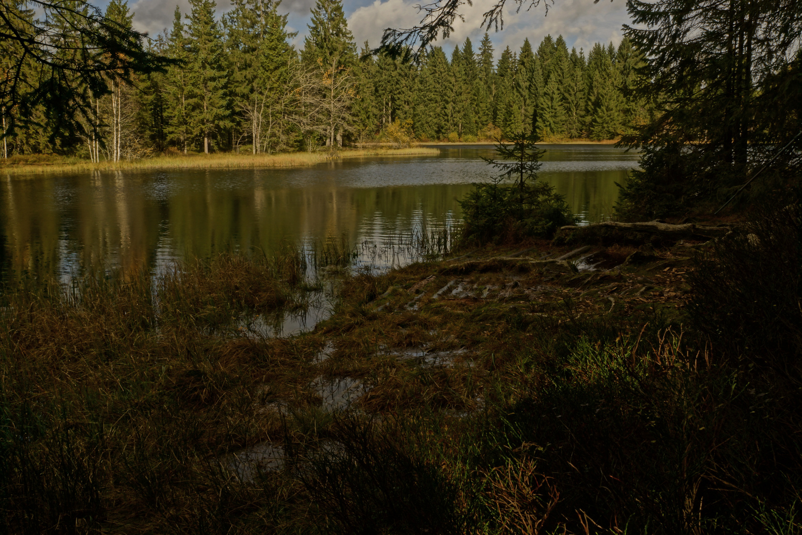 Etang de la gruère Herbst 2013