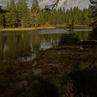 Etang de la gruère Herbst 2013