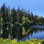 Etang de la Gruère Pano