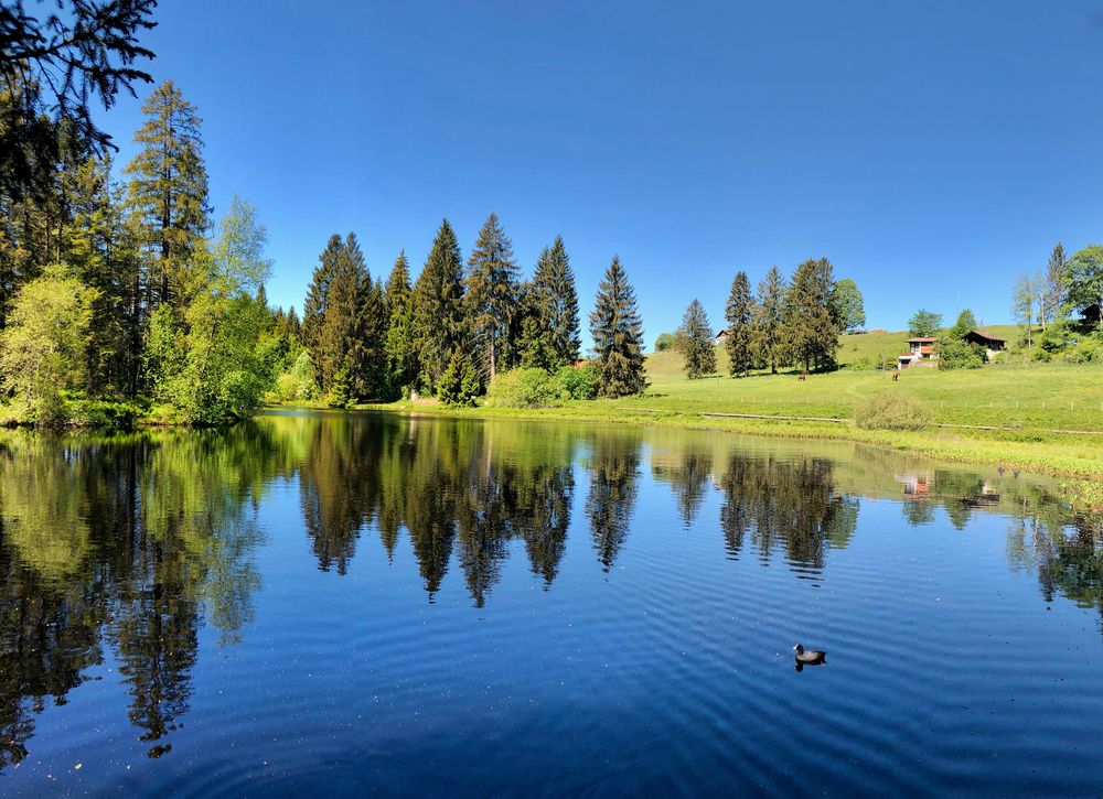 Etang de la Gruère Spiegelung ..