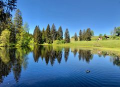 Etang de la Gruère Spiegelung ..