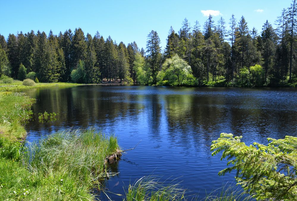 Etang de la Gruère tiefblau