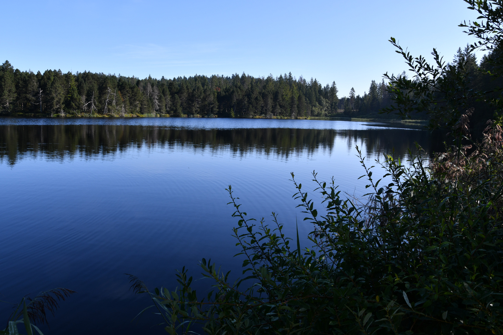 Etang de la Gruyere