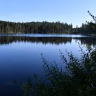 Etang de la Gruyere