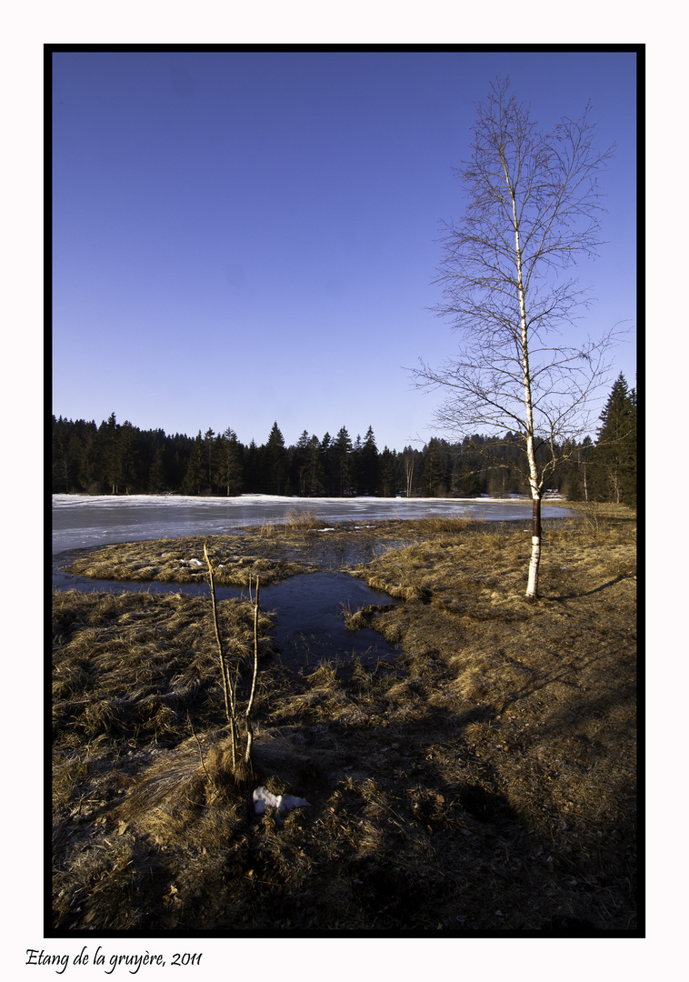 Etang de la gruyère