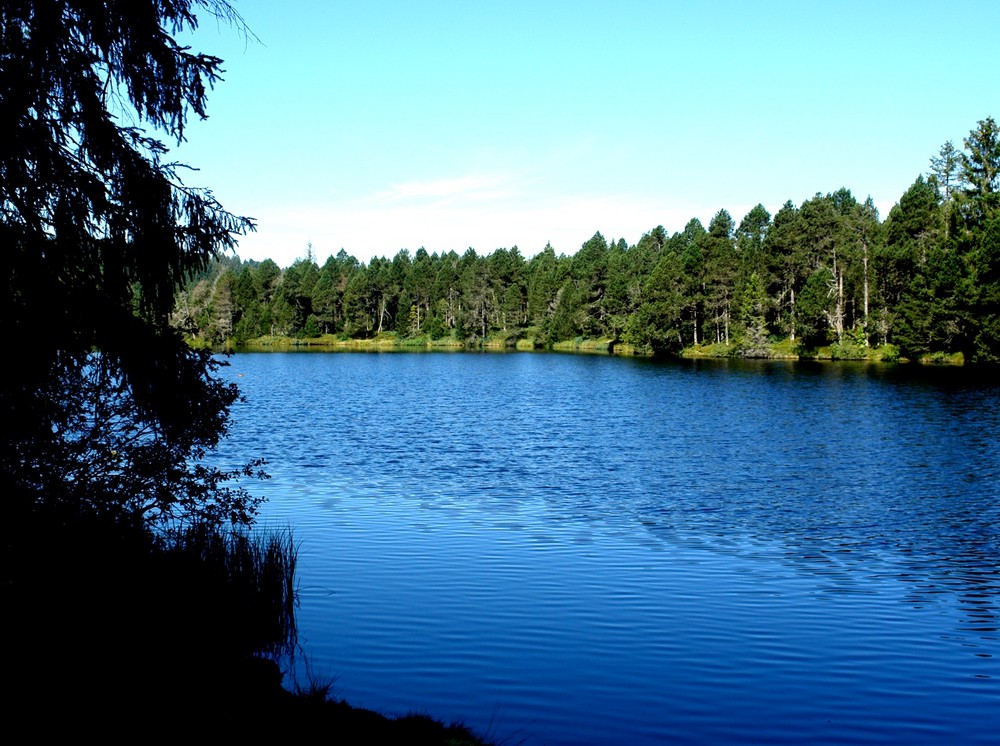 Etang de la Gruyère