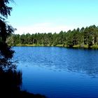 Etang de la Gruyère