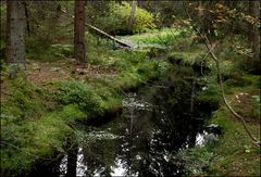 Etang de la Gruyère I