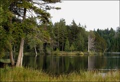 Etang de la Gruyère III