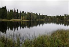 Etang de la Gruyère VI