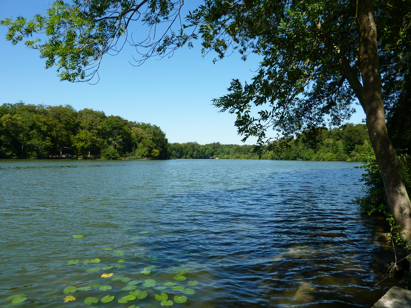 Etang de la loge