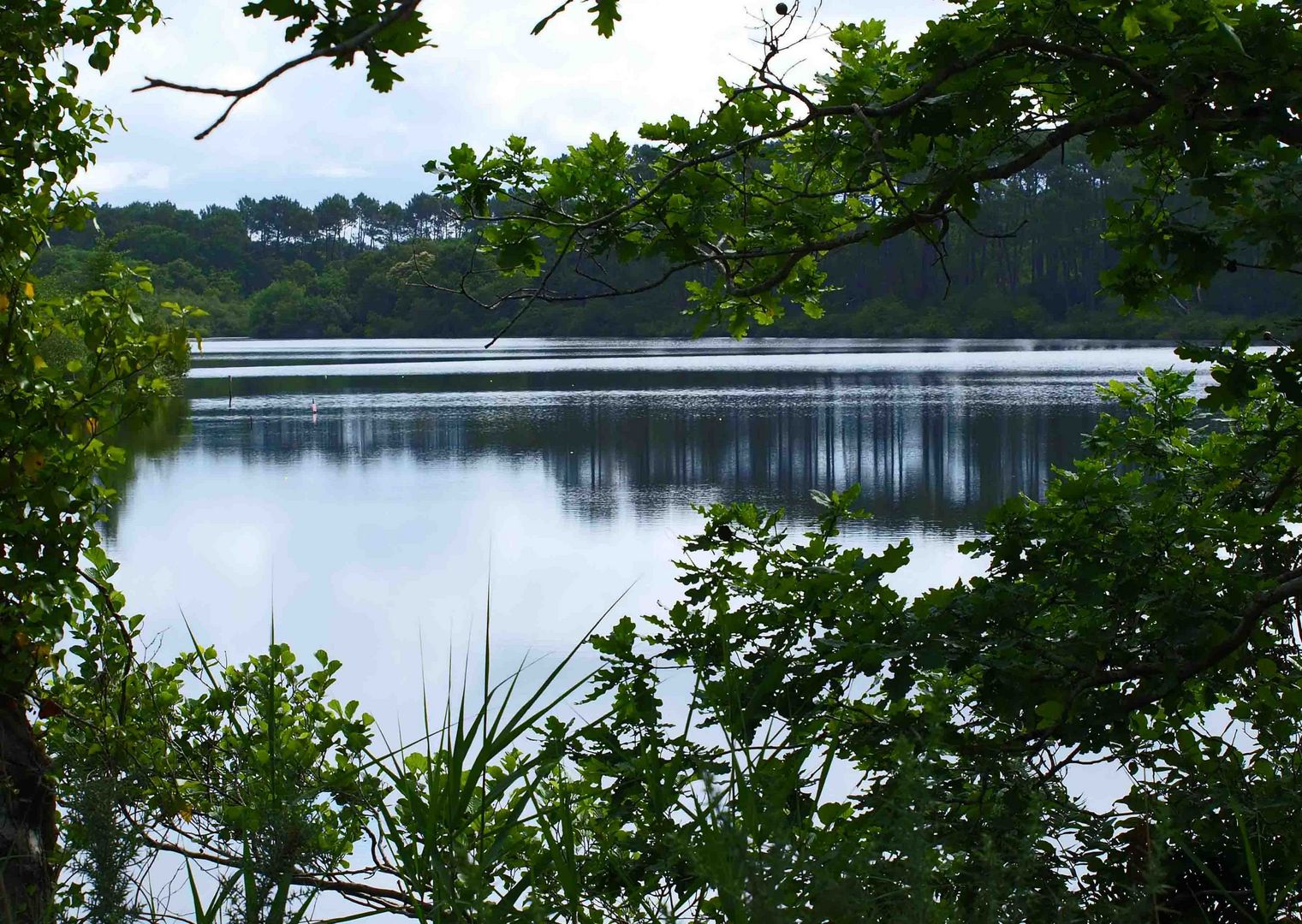 Etang de la Prade